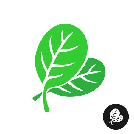 Spinach leaves illustration. Simple elegant style two green leaves of spinach vegetable salad.のイラスト素材