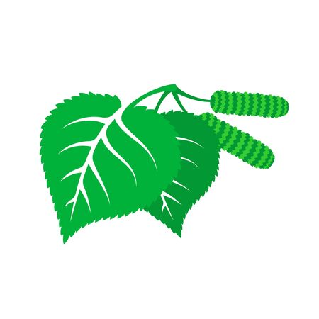 Birch branch with two green leaves and catkins symbolのイラスト素材