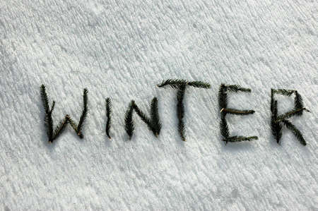 W I N T E R  written with twigs of the spruce on snowの写真素材