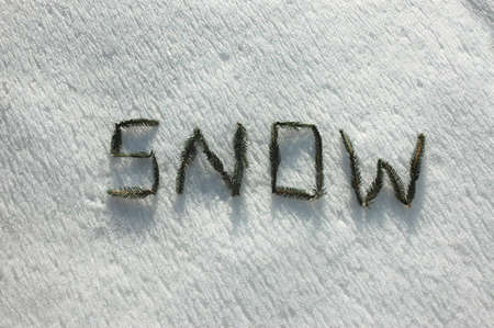 Snow written with twigs of the spruce on snowの写真素材