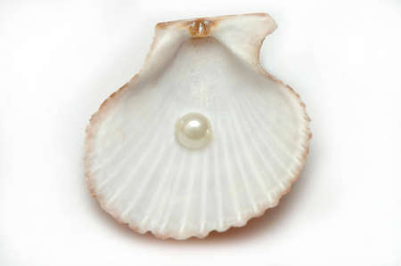 Shell with pearl on white backgroundの写真素材
