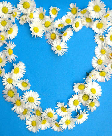 Heart shape frame with flowersの写真素材