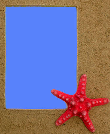 Nature sandy frame with starfishの写真素材