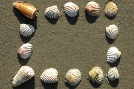 Natural frame made of sand and shells on beach