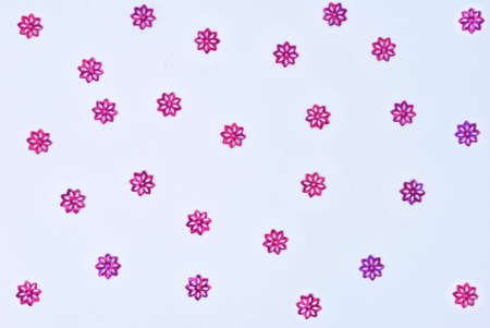 Multi colored sequins on white backgroundの写真素材