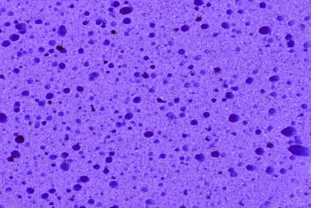 Sponge background -texturedの写真素材