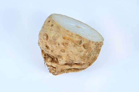 Half of the celery on white backgroundの写真素材