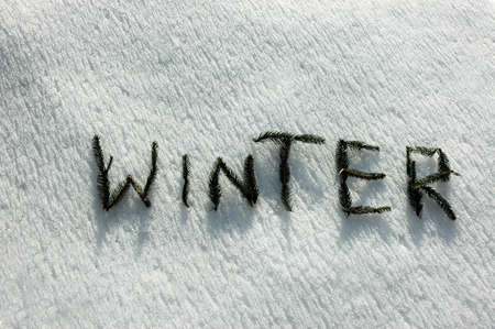 W I N T E R  written  with twigs of the spruce on snowの写真素材
