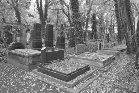 old not-frequented cementary-spooky