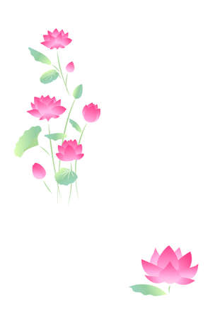 Summer greeting postcard template of lotus flowers.のイラスト素材