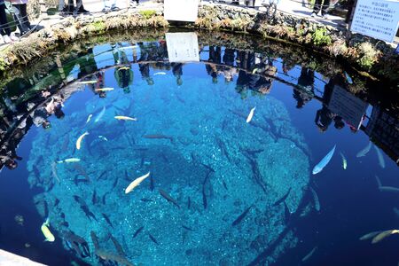 Oshino Hakkai, Japan - April 11, 2019: The very clear and beatiful pond in the Oshino Hakkai village is loacated between Kawaguchiko lake and Yamanakako lake.のeditorial素材
