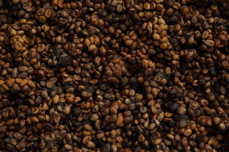 The picture of coffee bean.