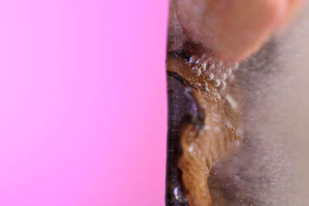 The abstract picture of dried flowers and leafs were frozen in the ice.の写真素材