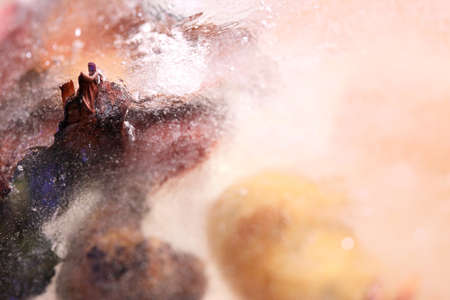 The abstract picture of dried flowers and leafs were frozen in the ice.の写真素材