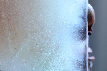 The abstract picture of dried flowers and leafs were frozen in the ice.の写真素材