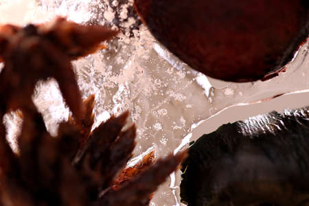 The abstract picture of dried flowers and leafs were frozen in the ice.