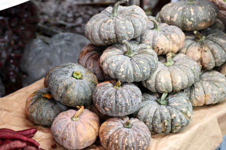 The group of pumpkin sell in the thai market.の写真素材