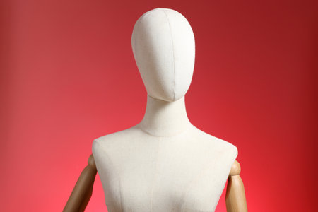 The female mannequin on the pink background.の写真素材