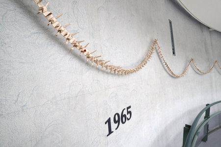 Nagasaki, Japan - July 20, 2022: Nagasaki Atomic Bomb Museum, the Museum is a remembrance to the...