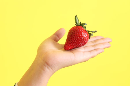 The Asian woman holding strawberry in the hand on the yellow background.の写真素材