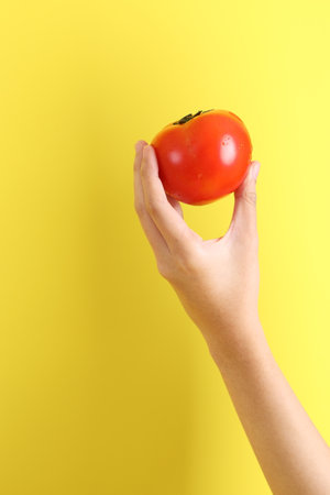 The Asian woman holding tomato on the yellow background.の写真素材