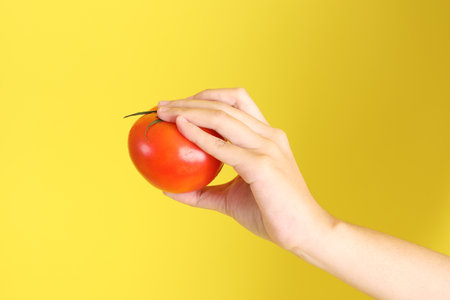 The Asian woman holding tomato on the yellow background.の写真素材