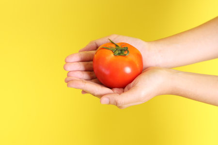 The Asian woman holding tomato on the yellow background.の写真素材