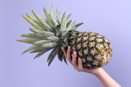 The Asian woman hand holding pineapple in the purple background.の写真素材