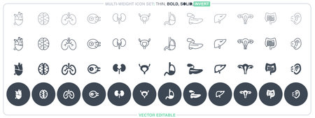 An editable vector file featuring solid and outline icons based on human organ concepts.のイラスト素材