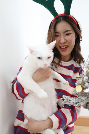 The beautiful East Asian woman is holding a cat beside the Christmas tree on a seasonal day.の写真素材