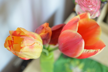 Closeup photo of red tulip core, abstract floral background, spring time nature detailの写真素材