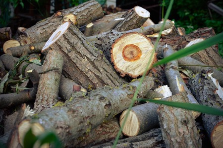 Natural wooden background - closeup of chopped firewood. Firewood stacked and prepared for winter...
