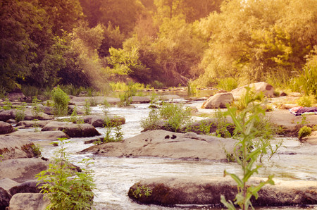 Peaceful landscape with forest, river, plants and stones in Ukraineの写真素材