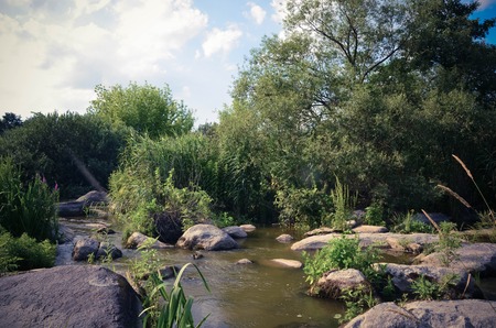 Peaceful landscape with forest, river, plants and stones in Ukraineの写真素材