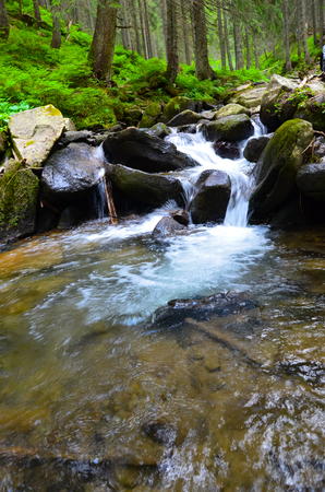 Mountain valley with river in the summer time. Beautiful summer landscapeの写真素材