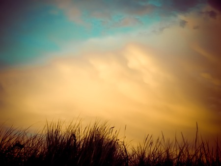 Silhouette of grass in sunset and cloudsの写真素材