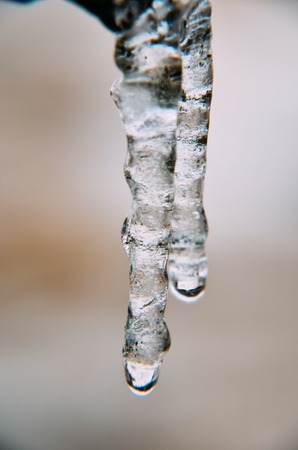 Transparent clear two icicles hangの写真素材
