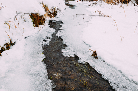Winter river with snow, ice and some plantsの写真素材