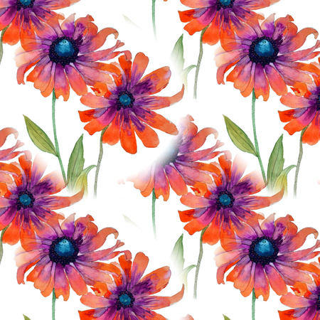 Watercolor painting Rudbeckia, red daisyの写真素材