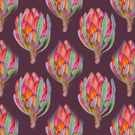 Hand-drawn watercolor illustration of red protea flower patternの写真素材