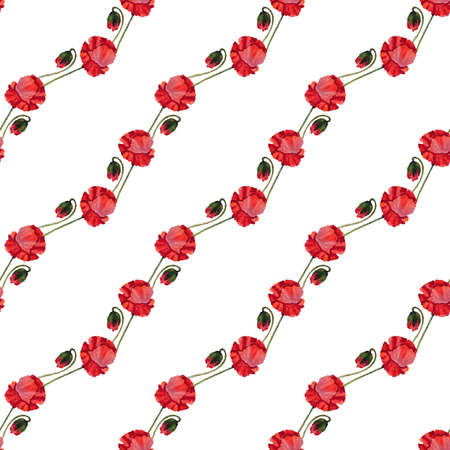 Watercolor illustration of Poppies flowers Seamless Patternの写真素材