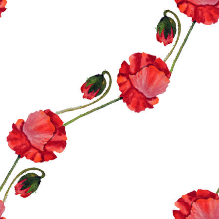 Watercolor illustration of Poppies flowers Seamless Patternの写真素材