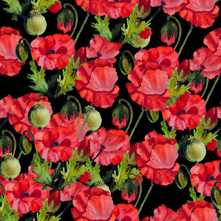 Watercolor illustration of Poppies flowers Seamless Patternの写真素材
