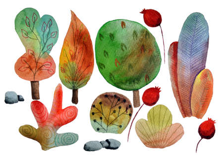 Autumn trees set, watercolor painting wth bushes and other plantsの写真素材