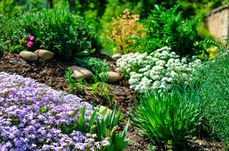 Flowerbed with stones, white and purple flowers and a lot of green plants