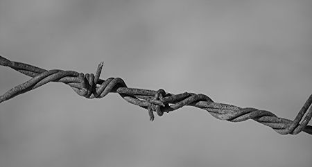 Barbed Wire