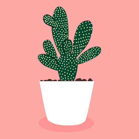 Opuntia microdasys. Vector cactus. Hand drawn vector. Decorative vector. Gardening.のイラスト素材