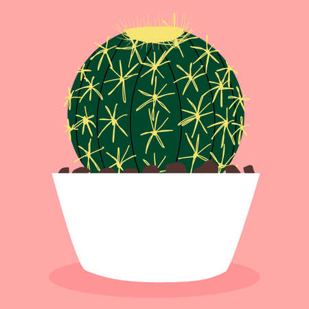 Echinocactus grusonii. Cactus in a pot. Plants and flowers. Gardening. Summer. Hand drawn vector. Illustration for decoration.のイラスト素材