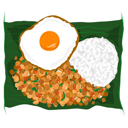 Thai food with stir-fried holy basil with minced pork and fried egg, on banana leaf. One dish. Vector illustration.のイラスト素材