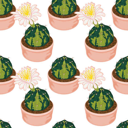 art, background, beautiful, bloom, blossom, botanical, botany, cactus, cartoon, collection, color, cute, decoration, decorative, desert, drawing, drawn, flora, floral, flower, flowのイラスト素材